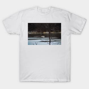 Winter Mating Swans T-Shirt